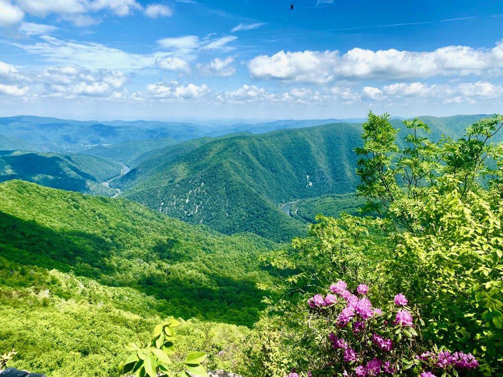 Looking out toward Erwin
